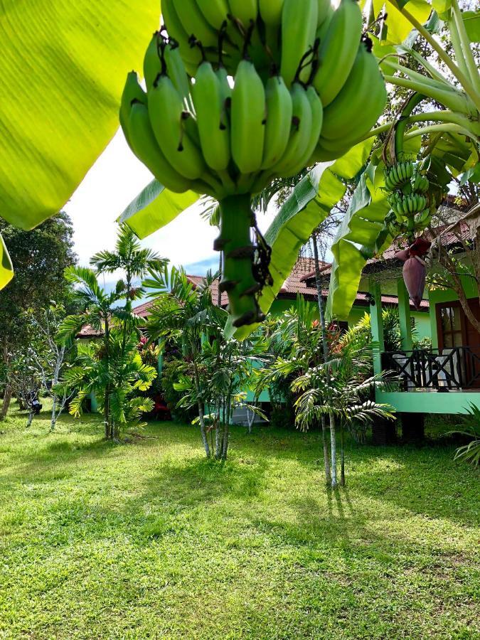 Anacar Bungalows Krabi town Exteriér fotografie